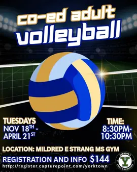 Co Ed Adult Volleyball flyer